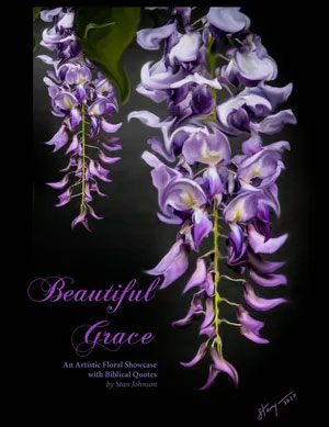 Beautiful Grace by Stan Johnson